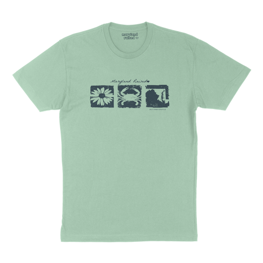 Black eye Susan, Blue Crab, Maryland State Icons