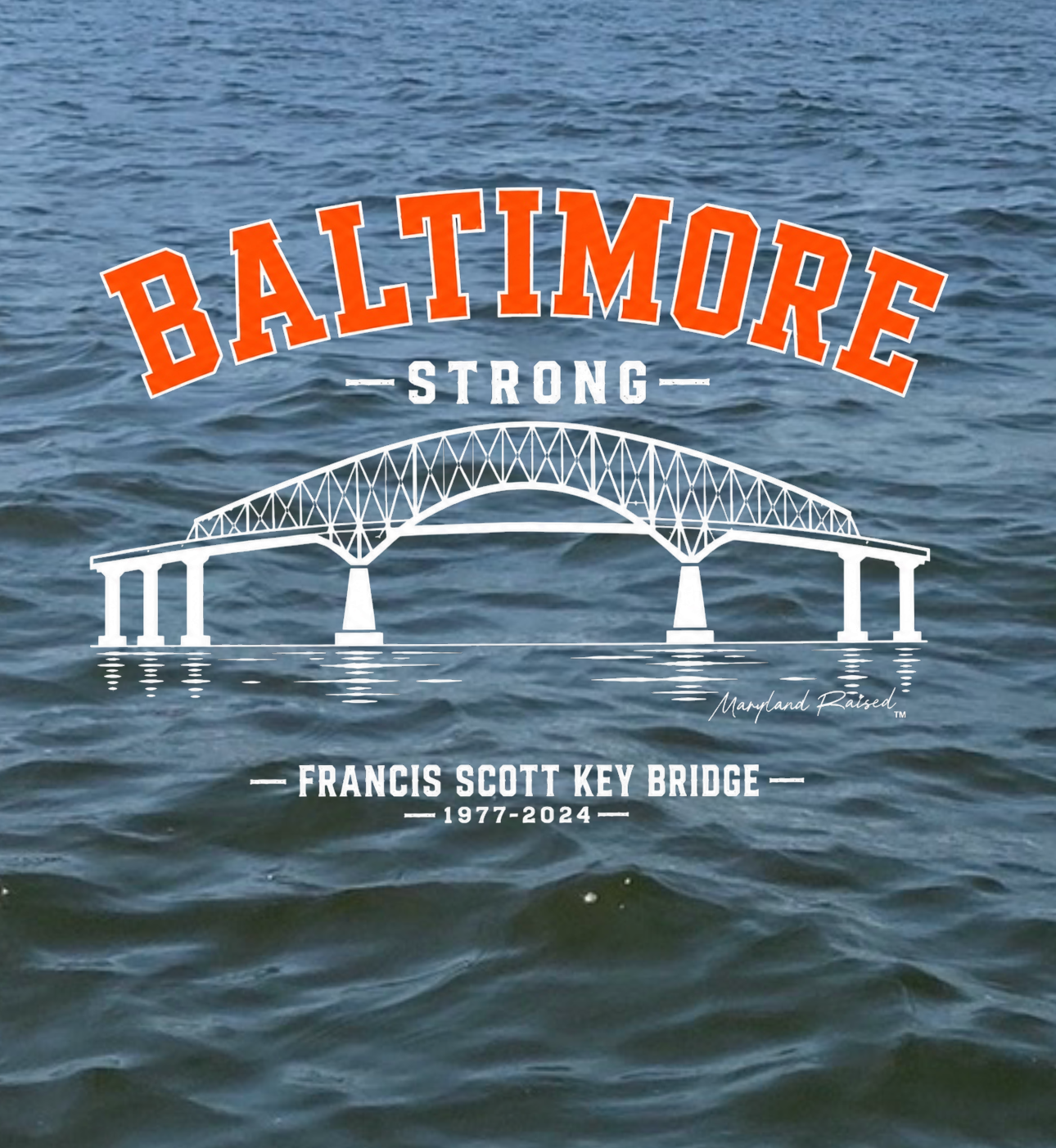 Baltimore Key Bridge