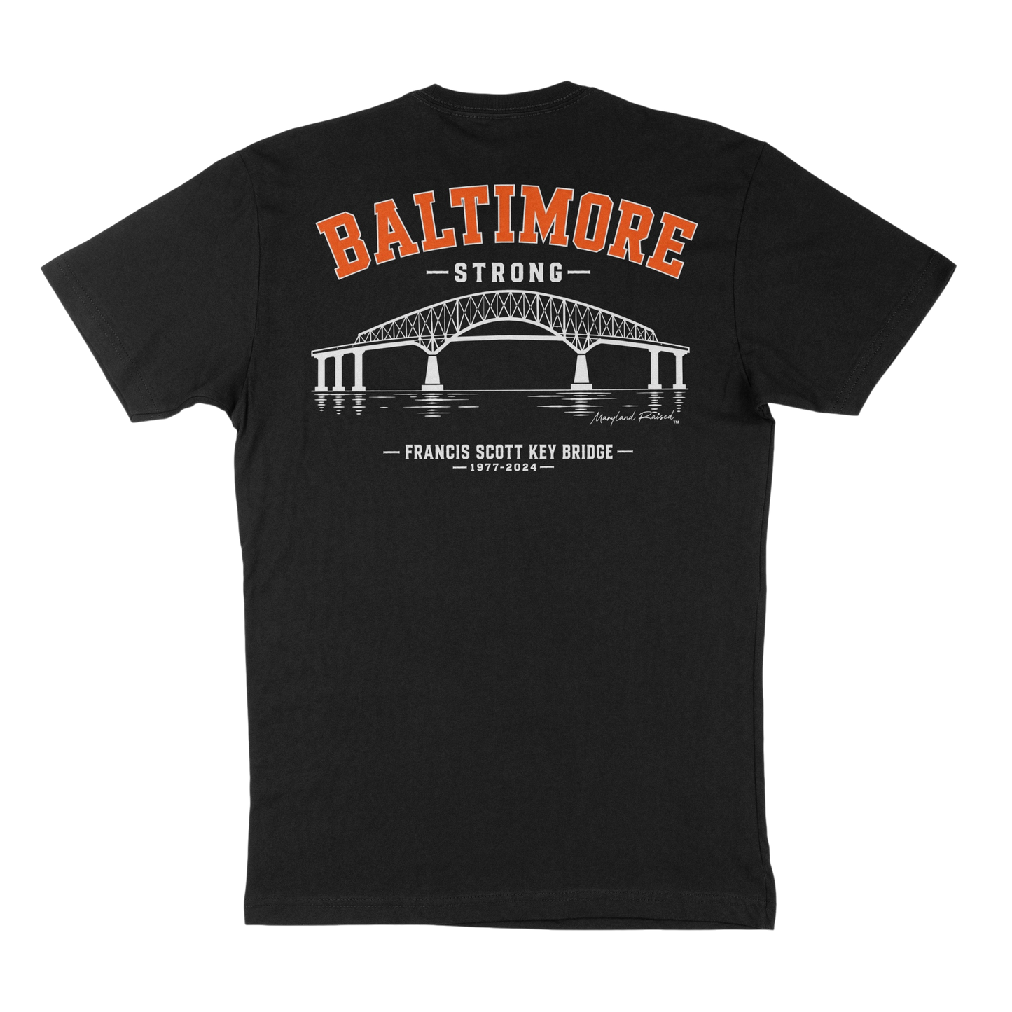 Baltimore Key Bridge
