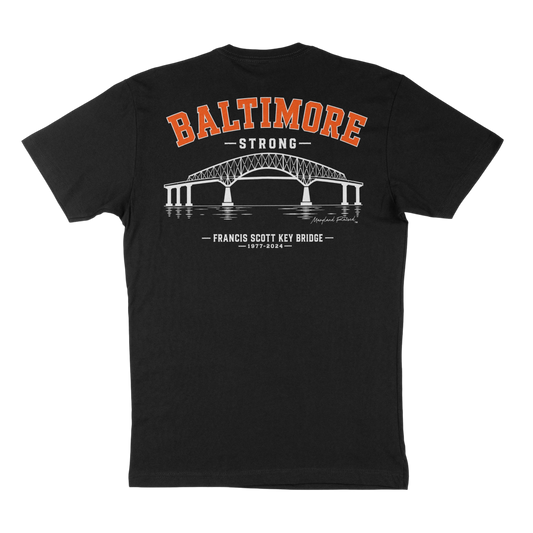 Baltimore Key Bridge